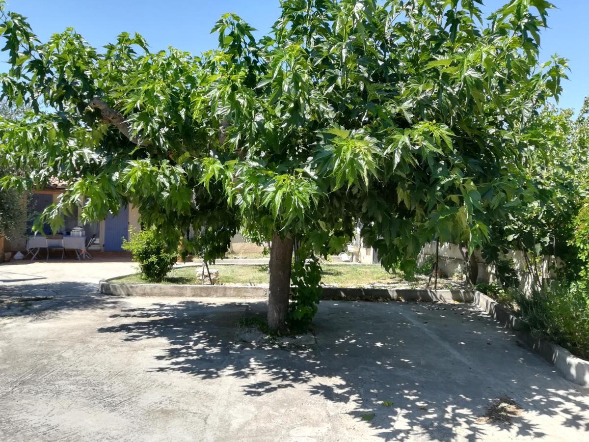 La Maison D'Ogooue Carpentras Luaran gambar